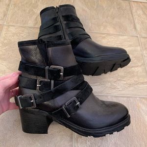 Freebird by Steven Boots